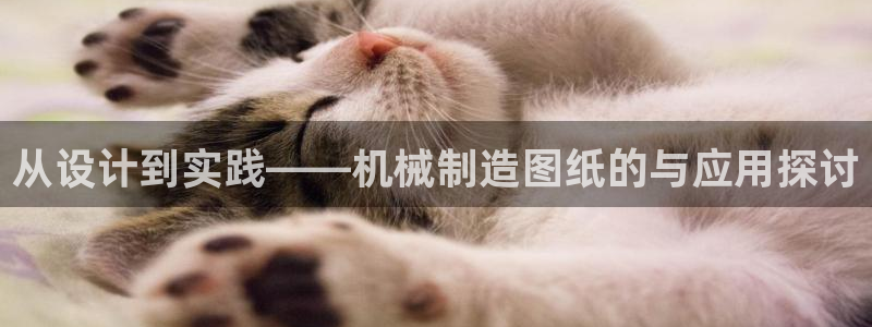 摩根娱乐宝微信客服